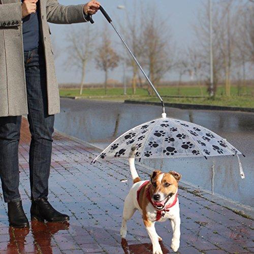 dog accessories umbrellas for dogs