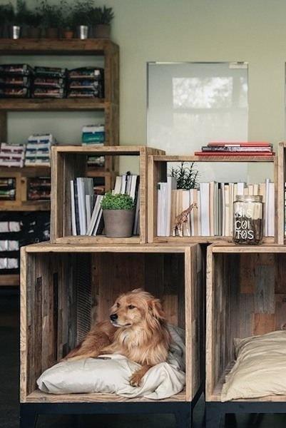 recycling wood bozes for pet beds