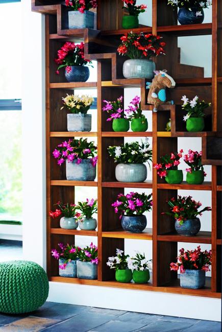 shelf decoration with flowering plants and vases