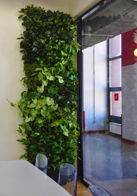 wall decoration with small plants