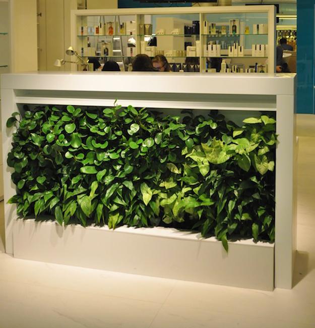  Vertical  Garden Design  Ideas  Green Wall  Decorations  for 