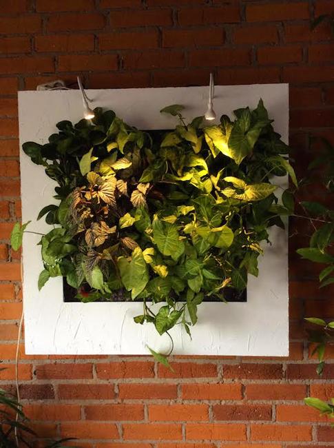 decorative wall panels with indoor plants