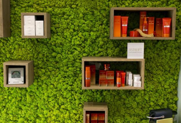 Benefits Of Accent Wall Design With Moss Stunning Green Ideas For Modern Interiors