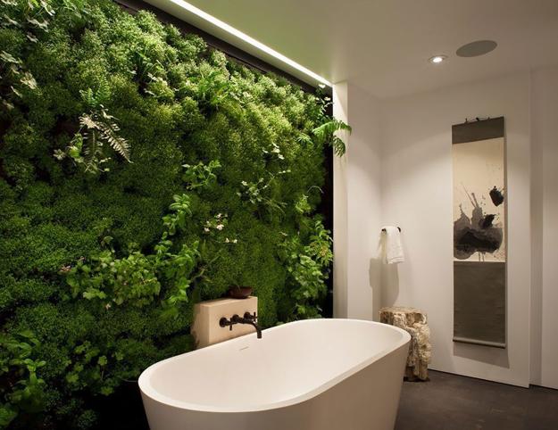 Benefits Of Accent Wall Design With Moss Stunning Green