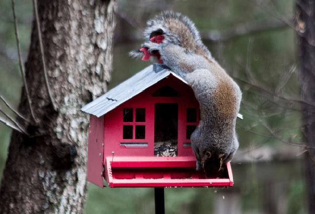 Seasonal Tips For a Cosy Home - Squirrels Interiors