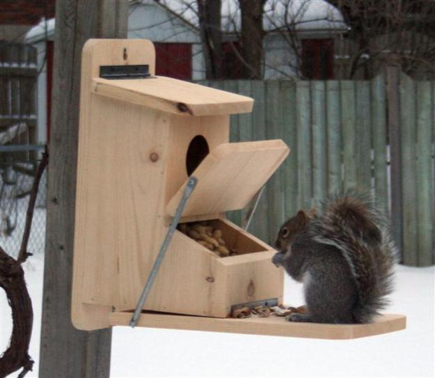 DIY Yard Decorations, Squirrel House Designs to Build and 