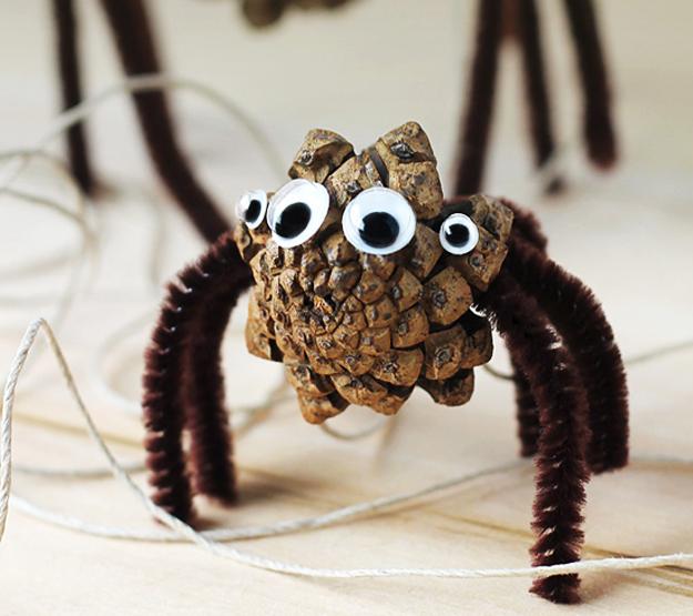 pine cone spider