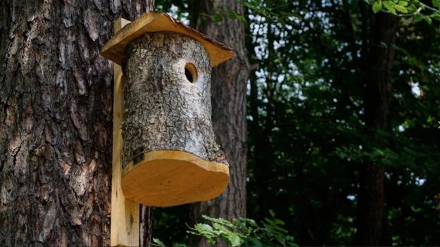 Rustic Wood Birdhouse Design Ideas, Natural Choices for ...