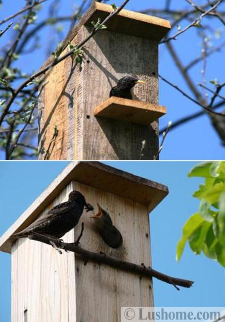 handmade birdhouses