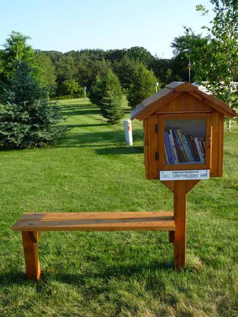 garden bench and little library