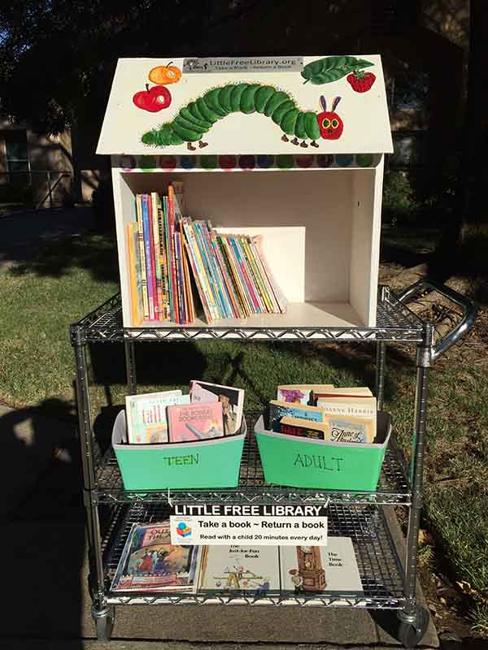 Cute Little Free Library Design Ideas, Recycling for Gifts ...