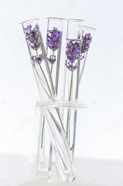 Small crystal chandelier Small crystal chandelier