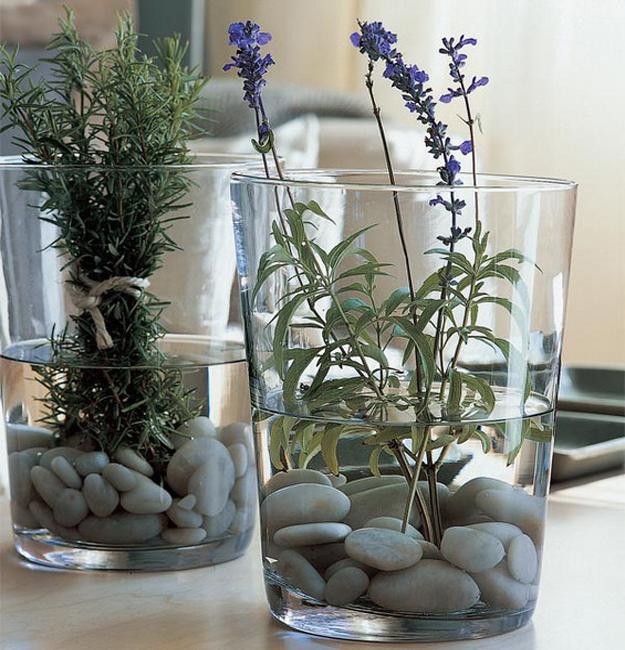 herbs and pebbles for table decoration