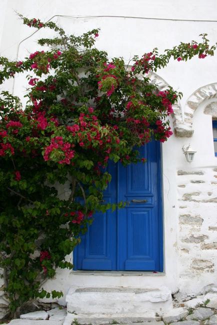 Climbing Plants Giving Unique Character to Exterior Walls and Door ...