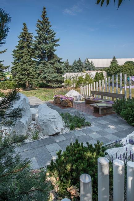 walkway flowering plants