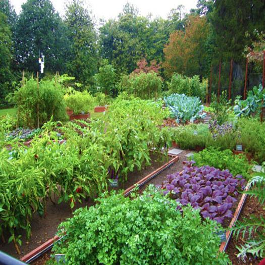 original herb garden design, beautiful yard landscaping ideas
