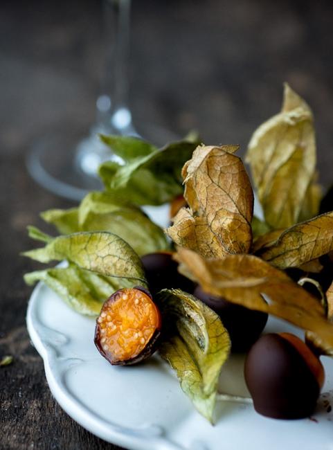 fruits in chocolate