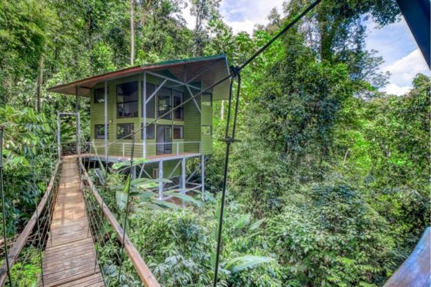 suspended wooden bridge