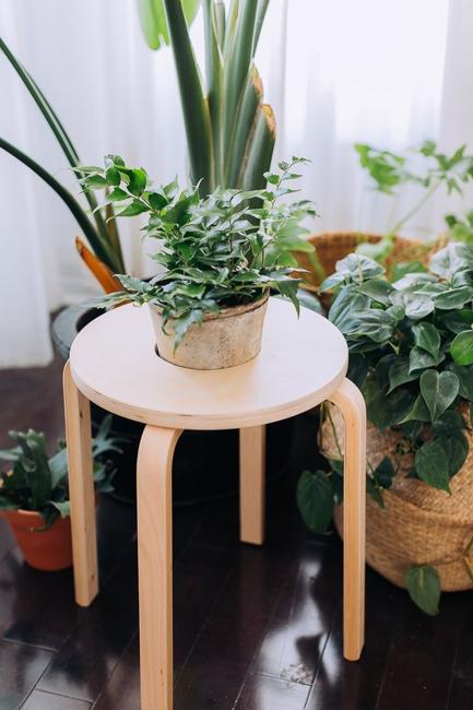 wooden stool plant holder