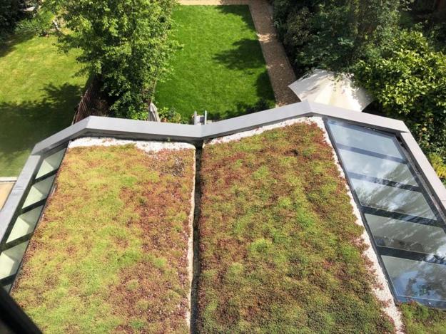 Green Top Roof Colorful Interiors Creative Wall Designs