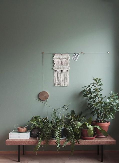 green wall paint houseplants