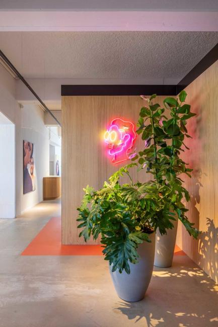 green indoor plants and neon wall decoration