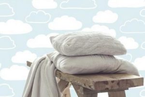 modern wallpapers for interior designs