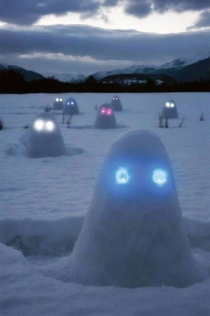 snow creatures