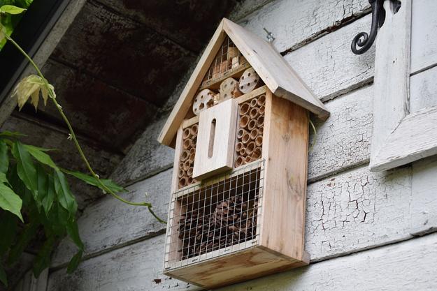 Bird Feeders, Original Yard Decorations Looking after Garden Birds