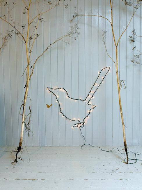 twigs lights bird image