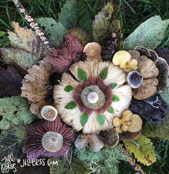 floral arrangement mushrooms