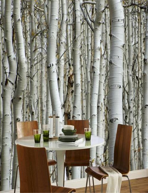 dining room birch trees mural