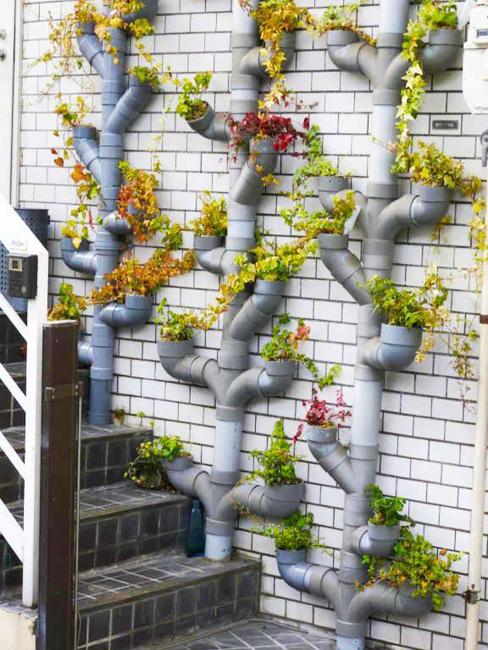 Creative Backyard Ideas Plastic Pipe Greenhouses And Vertical