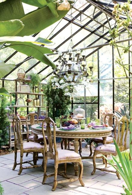 greenhouse indoor plants