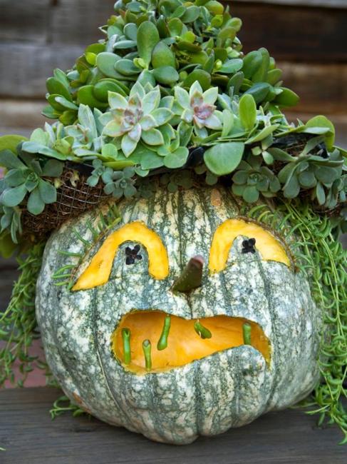 pumpkin flower arrangement