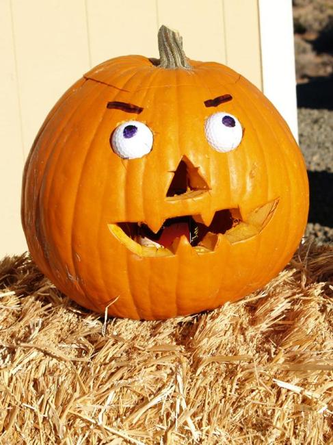Fun Halloween Ideas, 40 Inspiring Pumpkin Carving Designs