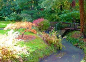 Natural Garden Design Style and Wildlife Friendly Landscaping Ideas