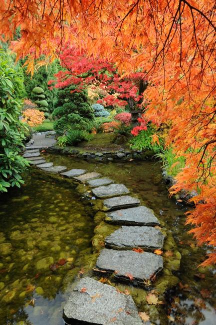 autumn backyard landscaping