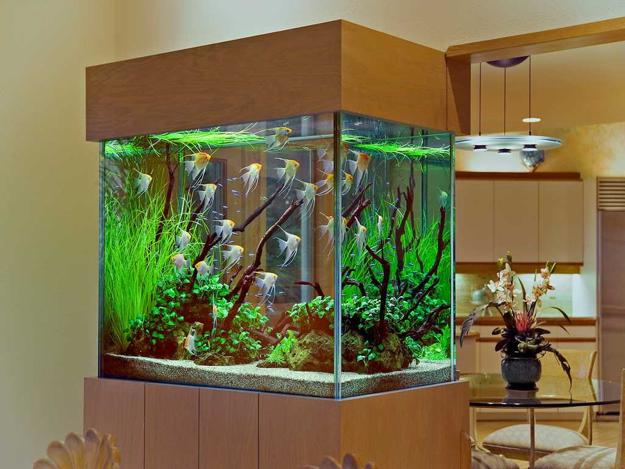 trog vluchtelingen Bemiddelen Original Fish Tank Decorations, 35 Creative Aquarium Decorating Ideas