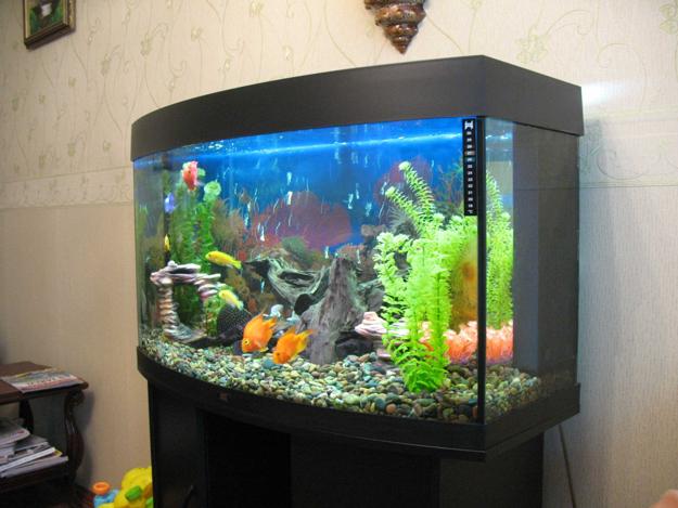 Original Fish Tank Decorations, 35 Creative Aquarium Decorating Ideas
