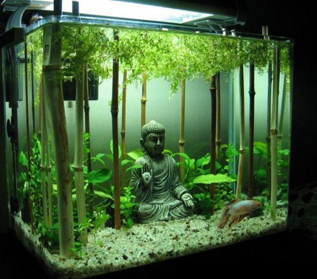 trog vluchtelingen Bemiddelen Original Fish Tank Decorations, 35 Creative Aquarium Decorating Ideas