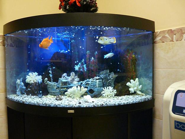 DIY Aquarium Fish Tank Ideas - MR DECOR