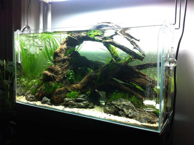 Original Fish Tank Decorations, 35 Creative Aquarium Decorating Ideas