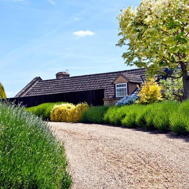 residential driveway landscape design