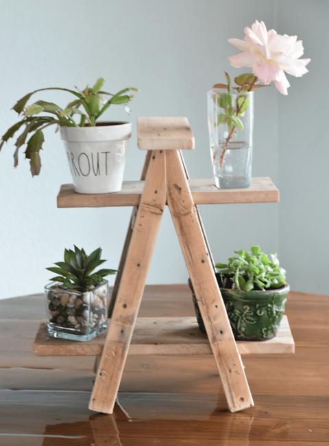 wooden shelving green plants