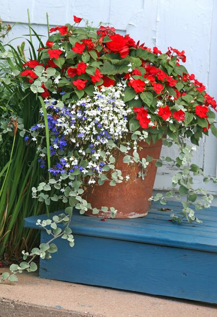 wood steps potted flowers