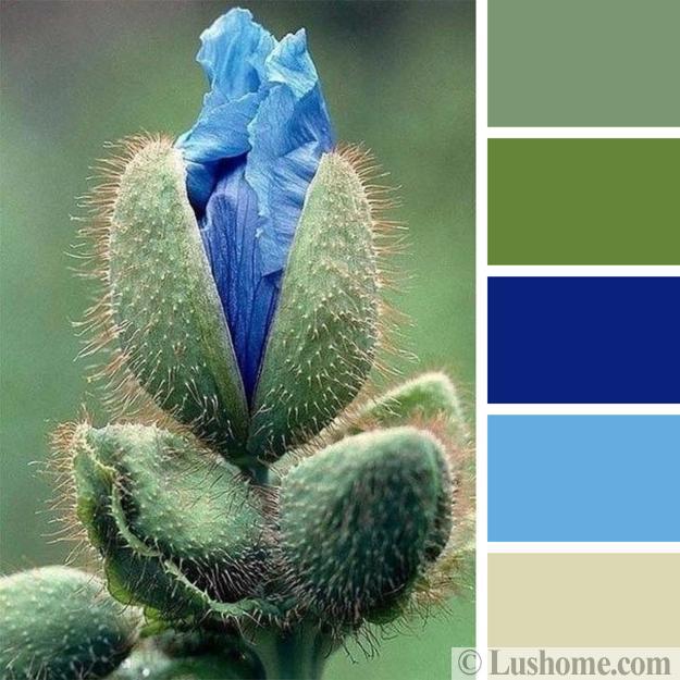 matching blue color palette