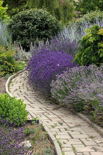 creative stone garden path