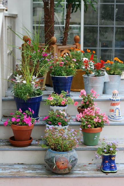 colorful pots summer flowers