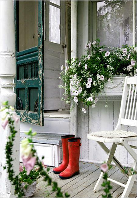 white summer flowers